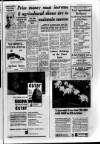 Ballymena Observer Thursday 02 June 1966 Page 9