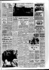 Ballymena Observer Thursday 02 June 1966 Page 14