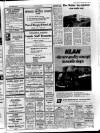 Ballymena Observer Thursday 05 June 1969 Page 11