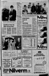 Ballymena Observer Thursday 22 July 1982 Page 11