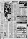 Ballymena Observer Thursday 31 January 1985 Page 29