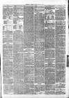 Maidstone Journal and Kentish Advertiser Saturday 12 June 1869 Page 3