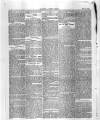 Maidstone Journal and Kentish Advertiser Thursday 21 November 1878 Page 2
