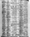 Maidstone Journal and Kentish Advertiser Monday 20 January 1879 Page 8