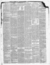 Maidstone Journal and Kentish Advertiser Saturday 19 January 1884 Page 3