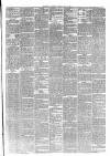 Maidstone Journal and Kentish Advertiser Tuesday 22 January 1889 Page 7