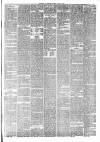 Maidstone Journal and Kentish Advertiser Tuesday 19 February 1889 Page 7
