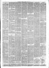 Maidstone Journal and Kentish Advertiser Tuesday 09 April 1889 Page 7