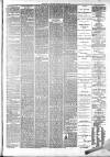 Maidstone Journal and Kentish Advertiser Tuesday 22 April 1890 Page 7