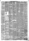 Maidstone Journal and Kentish Advertiser Tuesday 10 March 1891 Page 3