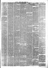 Maidstone Journal and Kentish Advertiser Tuesday 31 March 1891 Page 3