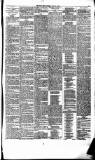 Dundee Weekly News Saturday 04 January 1879 Page 3