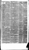 Dundee Weekly News Saturday 04 January 1879 Page 7