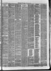 Dundee Weekly News Saturday 21 February 1880 Page 3