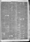Dundee Weekly News Saturday 06 March 1880 Page 7