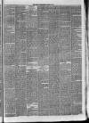 Dundee Weekly News Saturday 13 March 1880 Page 5