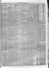 Dundee Weekly News Saturday 20 March 1880 Page 5