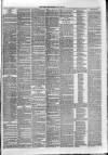 Dundee Weekly News Saturday 24 July 1880 Page 3