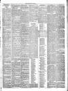 Dundee Weekly News Saturday 23 April 1881 Page 3