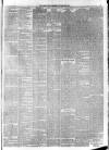 Dundee Weekly News Saturday 30 December 1882 Page 5