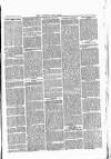 West Somerset Free Press Saturday 28 November 1863 Page 3