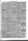 West Somerset Free Press Saturday 20 February 1864 Page 7