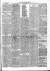 West Somerset Free Press Saturday 04 March 1865 Page 5
