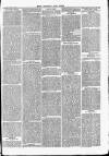 West Somerset Free Press Saturday 16 September 1865 Page 3