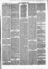 West Somerset Free Press Saturday 08 December 1866 Page 5