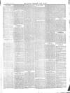 West Somerset Free Press Saturday 27 February 1875 Page 3