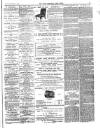 West Somerset Free Press Saturday 05 April 1884 Page 3