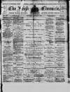 Leigh Chronicle and Weekly District Advertiser Saturday 06 January 1877 Page 1