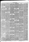 Leigh Chronicle and Weekly District Advertiser Saturday 30 July 1881 Page 3