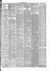 Leigh Chronicle and Weekly District Advertiser Saturday 30 July 1881 Page 7