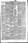Leigh Chronicle and Weekly District Advertiser Friday 17 July 1896 Page 3
