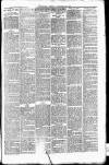 Leigh Chronicle and Weekly District Advertiser Friday 18 January 1901 Page 3