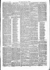 Weston-super-Mare Gazette, and General Advertiser Saturday 31 January 1863 Page 5