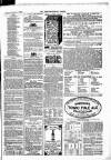 Weston-super-Mare Gazette, and General Advertiser Saturday 07 November 1863 Page 5