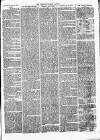 Weston-super-Mare Gazette, and General Advertiser Saturday 17 December 1864 Page 3