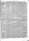 Weston-super-Mare Gazette, and General Advertiser Saturday 04 February 1865 Page 7