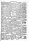 Weston-super-Mare Gazette, and General Advertiser Saturday 08 July 1865 Page 5