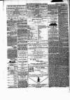 Weston-super-Mare Gazette, and General Advertiser Saturday 29 February 1868 Page 4