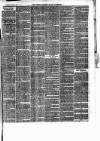 Weston-super-Mare Gazette, and General Advertiser Saturday 29 February 1868 Page 7