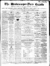 Weston-super-Mare Gazette, and General Advertiser Saturday 12 June 1869 Page 1