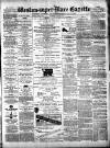 Weston-super-Mare Gazette, and General Advertiser Saturday 23 May 1874 Page 1