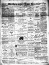 Weston-super-Mare Gazette, and General Advertiser Saturday 02 January 1875 Page 1