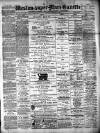 Weston-super-Mare Gazette, and General Advertiser Saturday 20 February 1875 Page 1