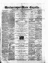 Weston-super-Mare Gazette, and General Advertiser Saturday 01 May 1875 Page 1