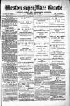 Weston-super-Mare Gazette, and General Advertiser Wednesday 15 May 1878 Page 1