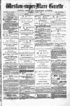 Weston-super-Mare Gazette, and General Advertiser Wednesday 05 June 1878 Page 1